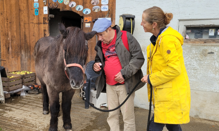 Bild zum Artikel uebers Reiten Bild zum Artikel uebers Reiten