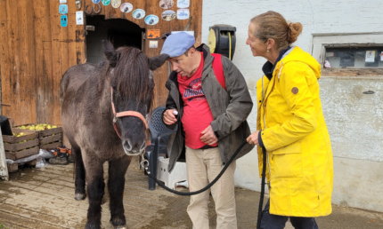Bild zum Artikel uebers Reiten